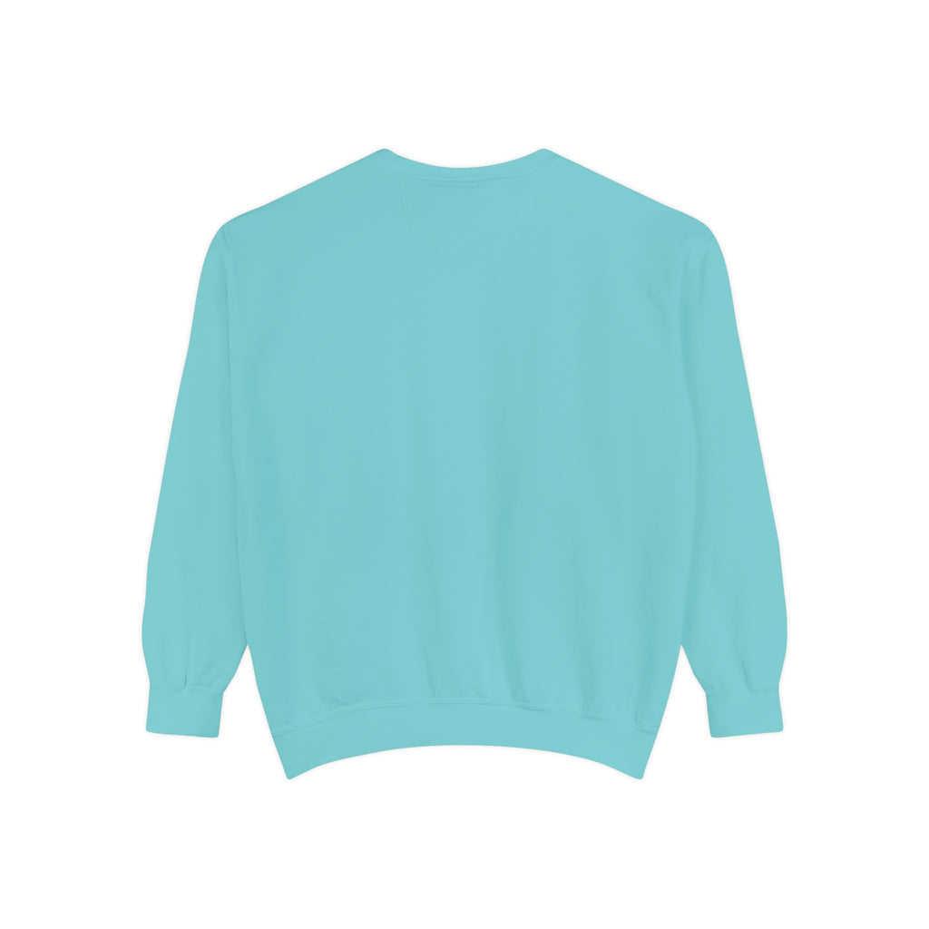 🐢 Cozy Turtle Sweatshirt – “Introverting in Progress” Unisex Relaxed Fit Apparel