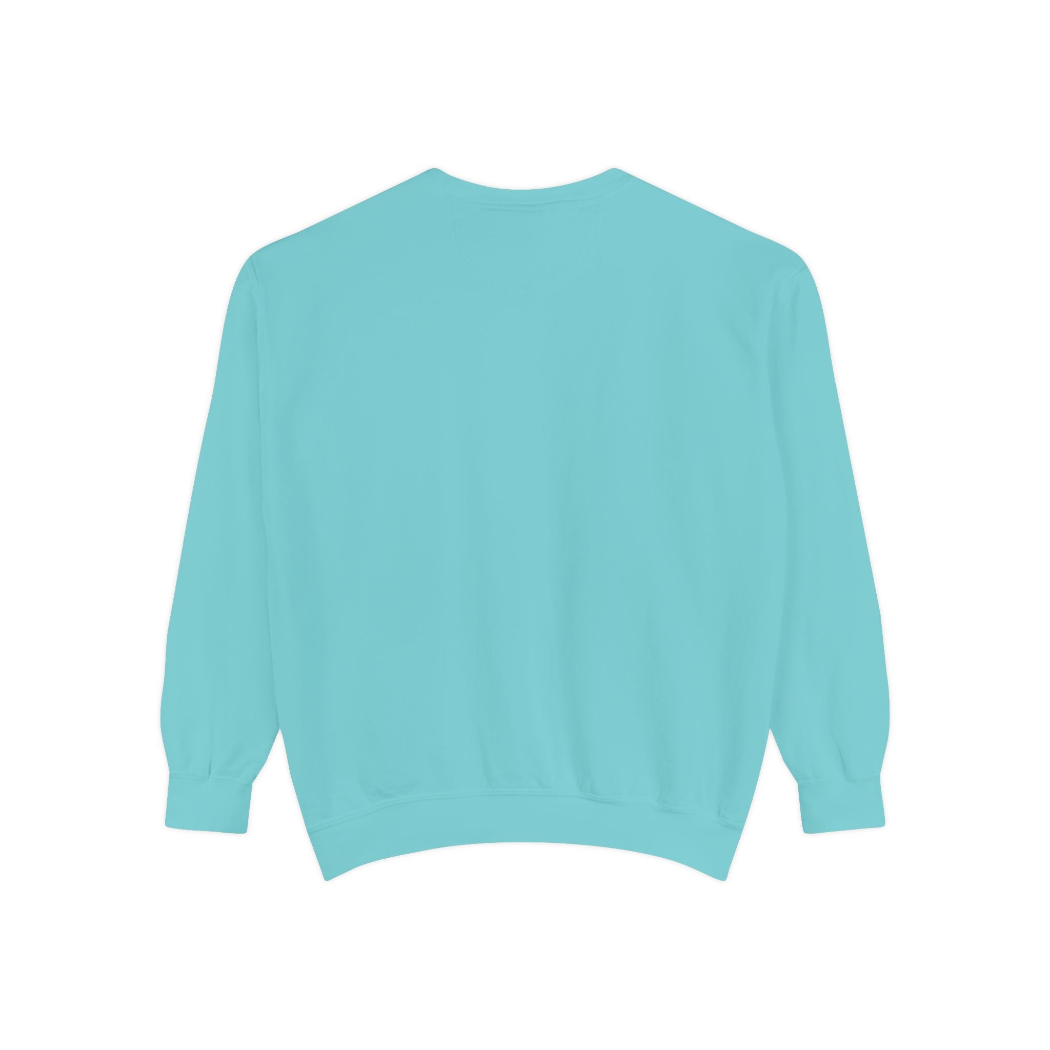 🐢 Cozy Turtle Sweatshirt – “Introverting in Progress” Unisex Relaxed Fit Apparel