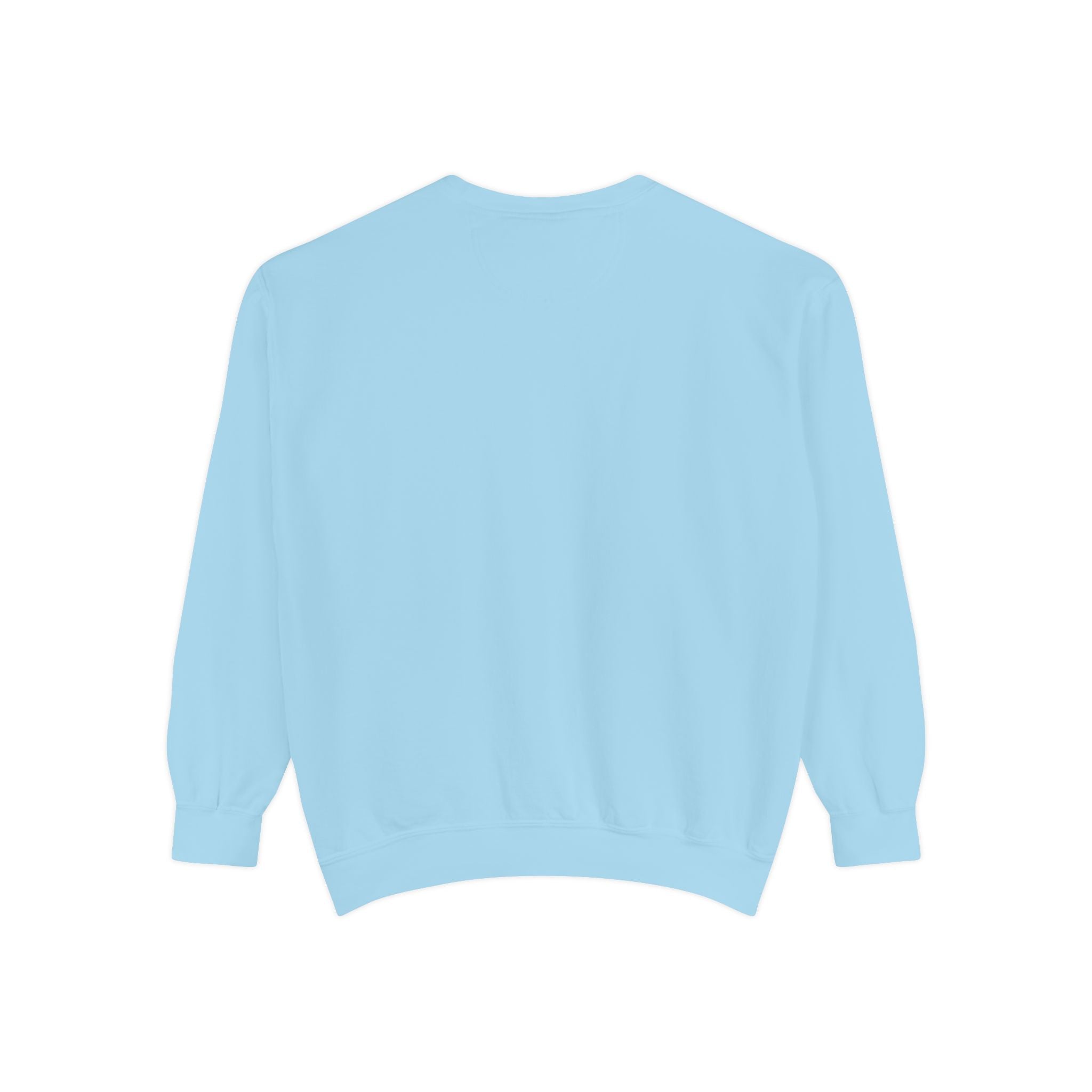 Judgy Owl Sweatshirt – “Silently Judging Your Font Choices” Unisex Garment-Dyed Apparel
