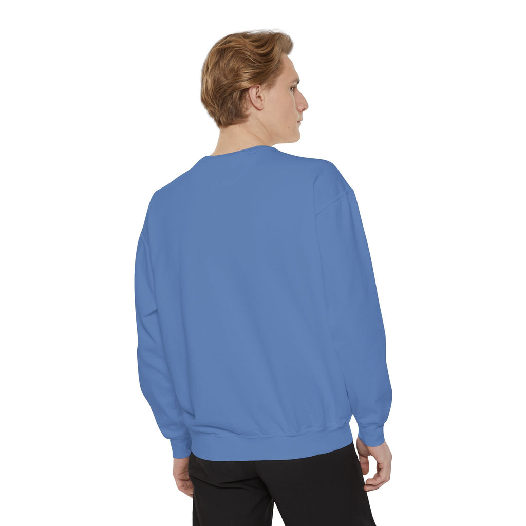 Lazy Panda Sweatshirt – “I’m Not Lazy (Just Energy Efficient)” Unisex Garment-Dyed Apparel