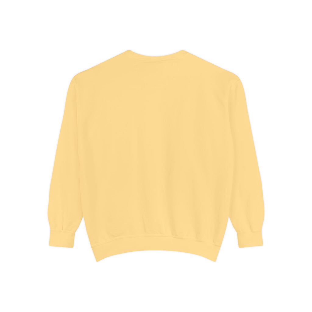 🐢 Cozy Turtle Sweatshirt – “Introverting in Progress” Unisex Relaxed Fit Apparel