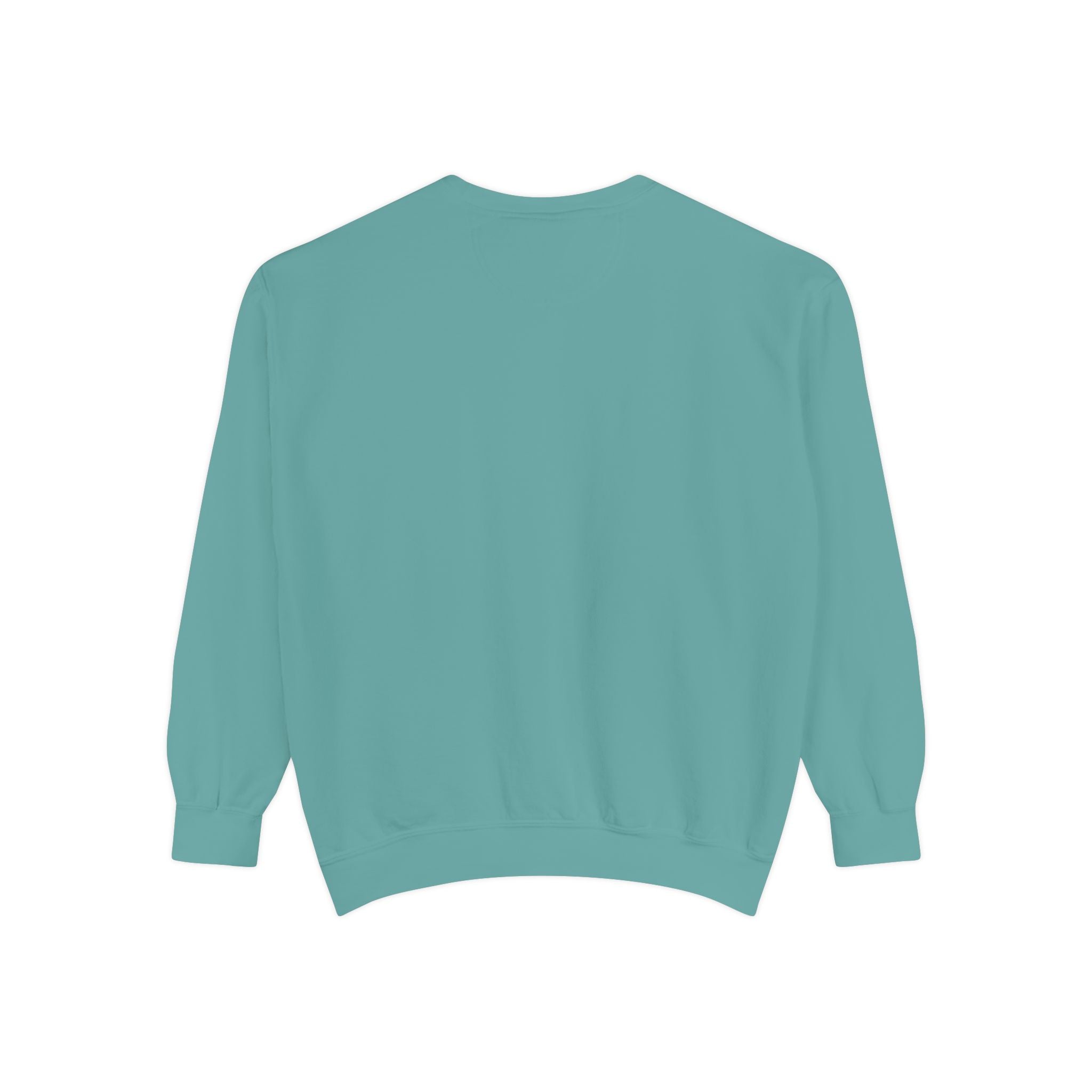 🐢 Cozy Turtle Sweatshirt – “Introverting in Progress” Unisex Relaxed Fit Apparel