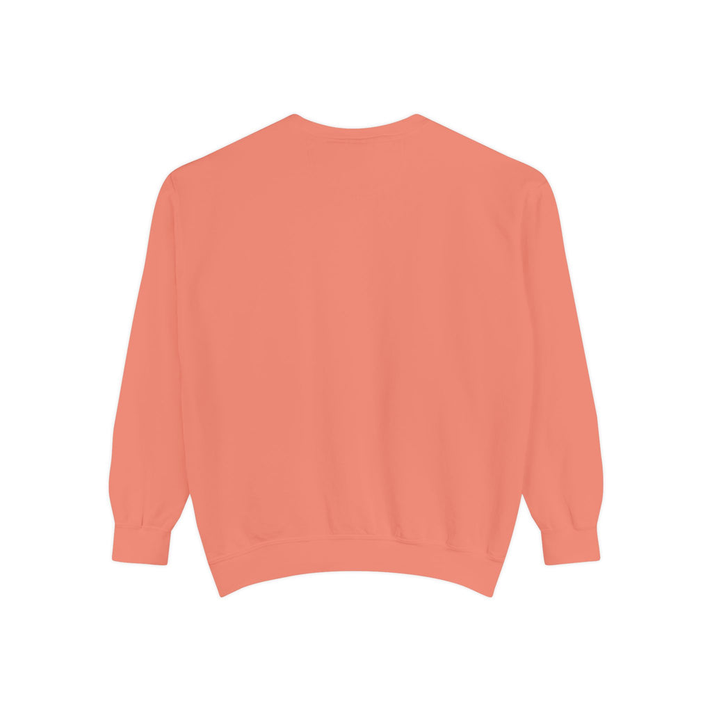 🐢 Cozy Turtle Sweatshirt – “Introverting in Progress” Unisex Relaxed Fit Apparel