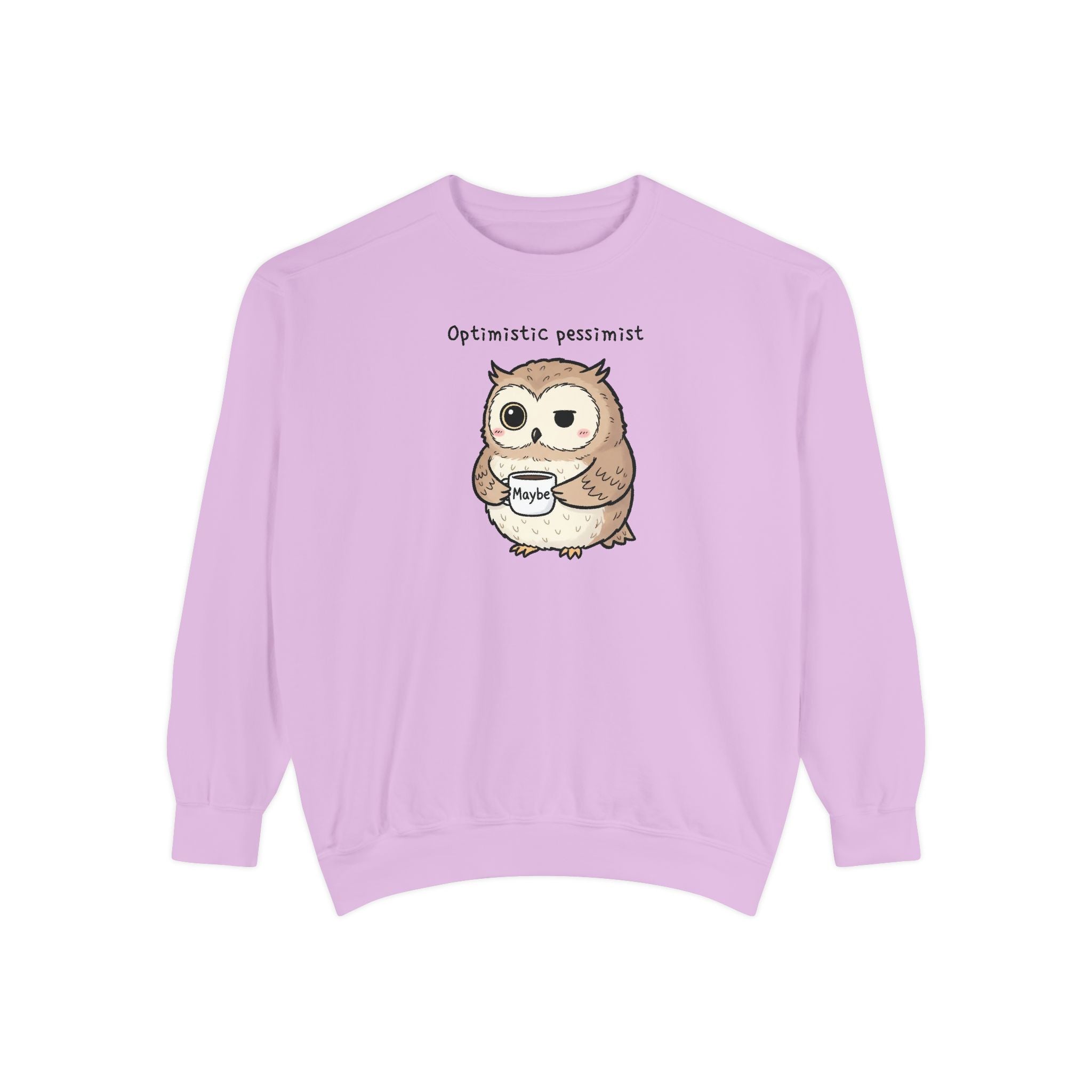 Doubtful Owl Sweatshirt – “Optimistic Pessimist (Maybe)” Unisex Garment-Dyed Apparel