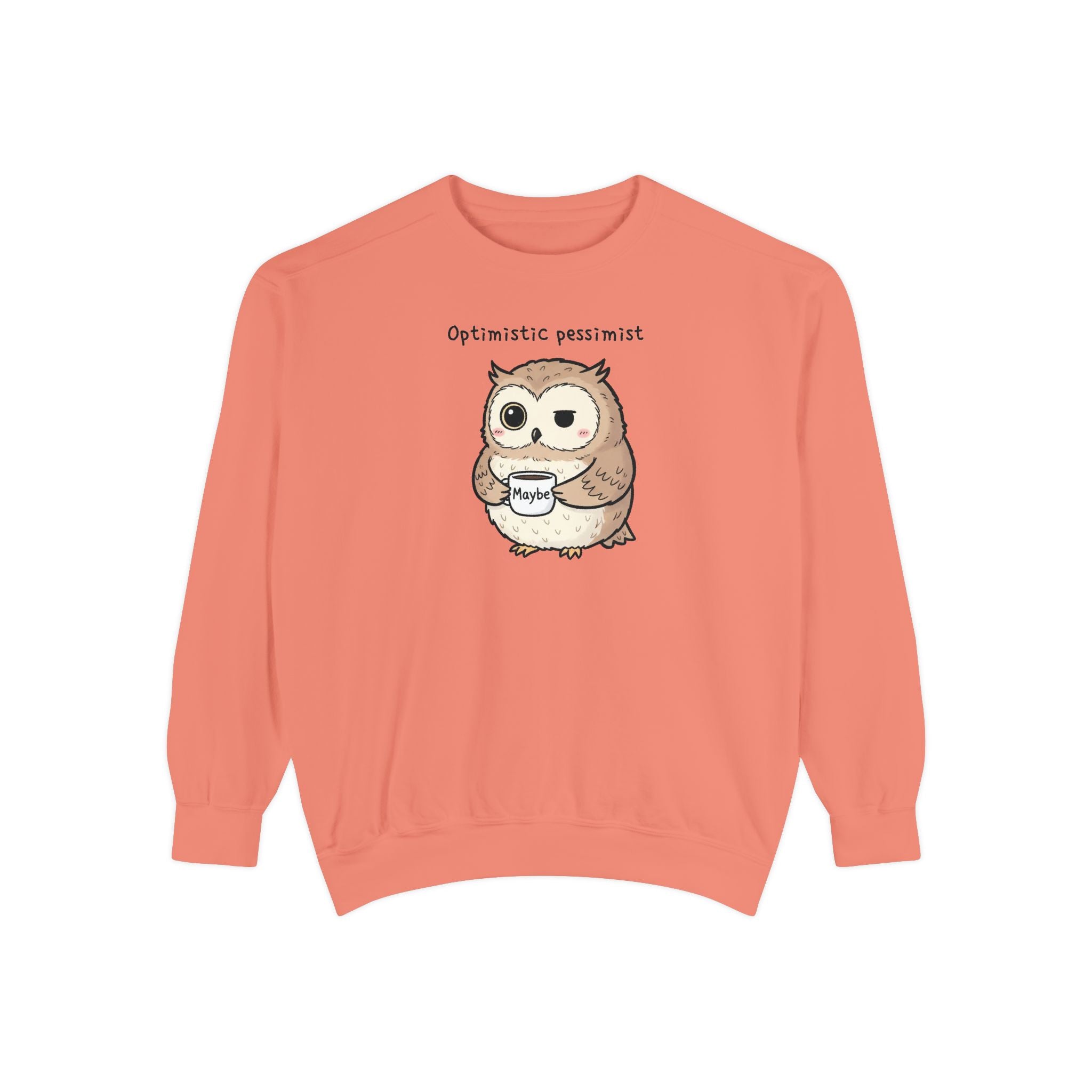 Doubtful Owl Sweatshirt – “Optimistic Pessimist (Maybe)” Unisex Garment-Dyed Apparel