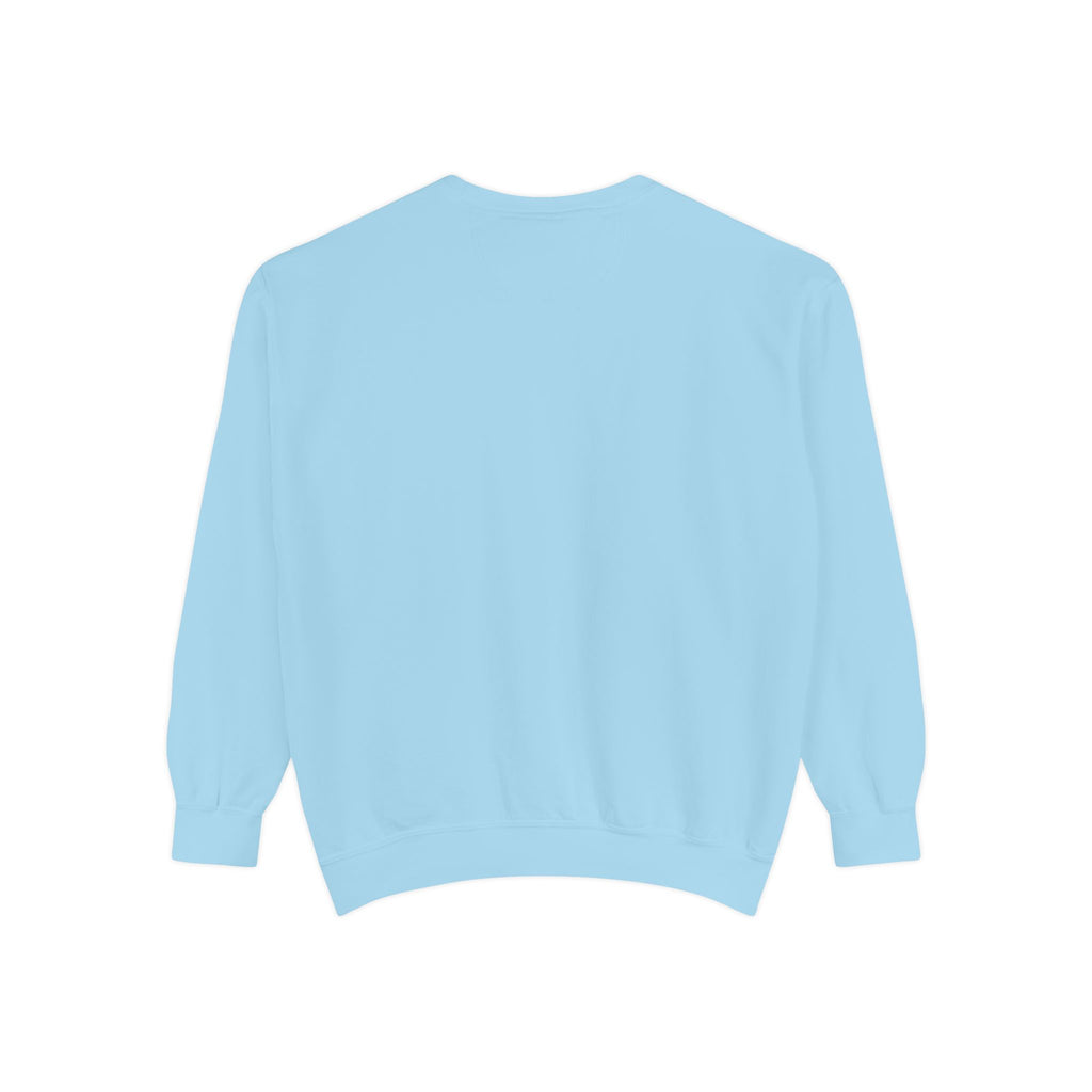 🐢 Cozy Turtle Sweatshirt – “Introverting in Progress” Unisex Relaxed Fit Apparel
