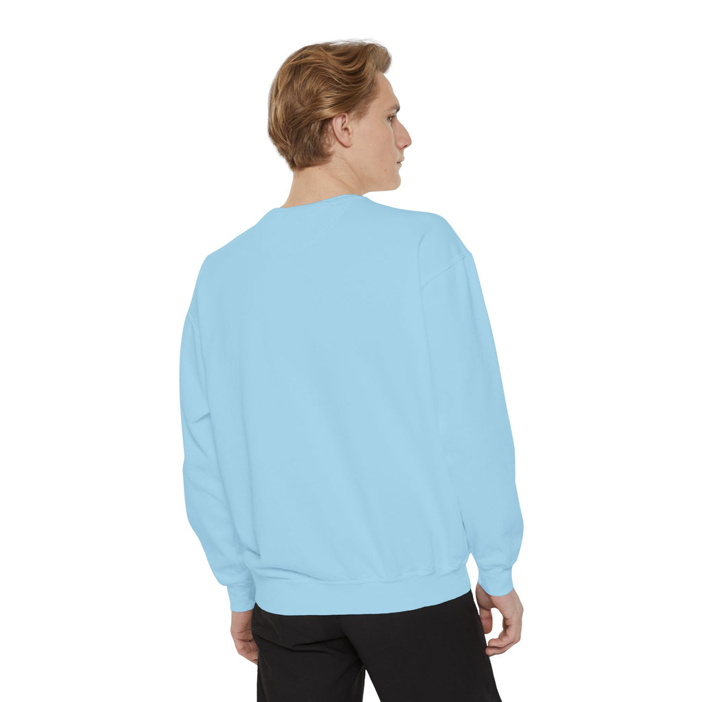Judgy Owl Sweatshirt – “Silently Judging Your Font Choices” Unisex Garment-Dyed Apparel