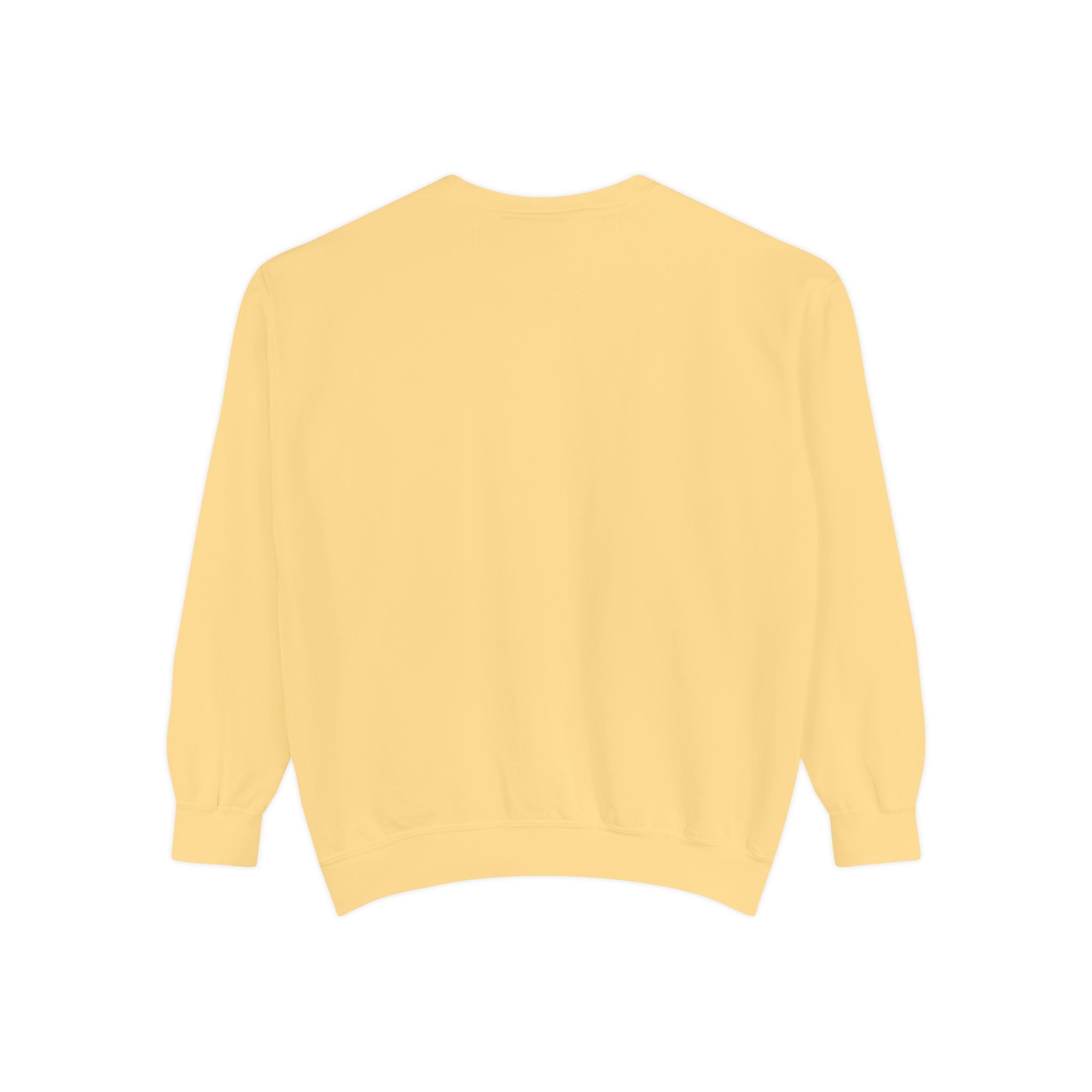 Funny Snail Sweatshirt – “Currently Processing… Please Wait Forever” Unisex Relaxed Fit Apparel